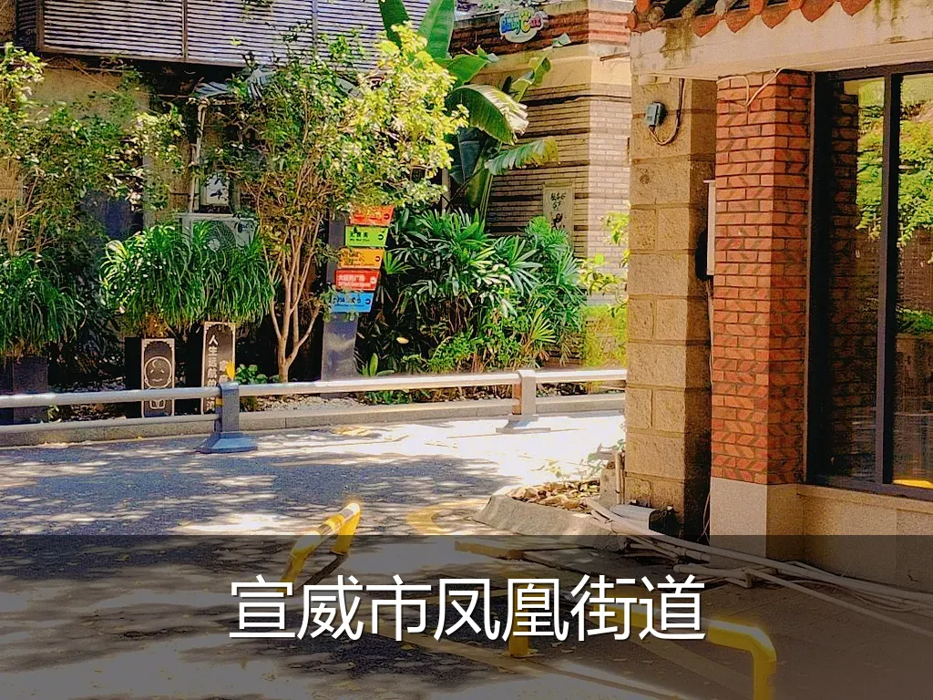 宣威市凤凰街道